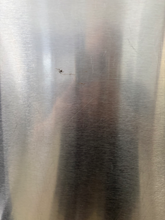 Load image into Gallery viewer, (T08909) Frigidaire Stainless Refrigerator - 8909
