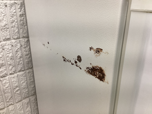 Load image into Gallery viewer, (T09041) Whirlpool Refrigerator - 9041
