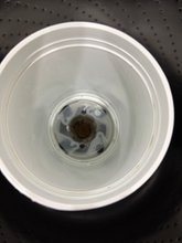 Load image into Gallery viewer, (T08915) Maytag Washer - 8915
